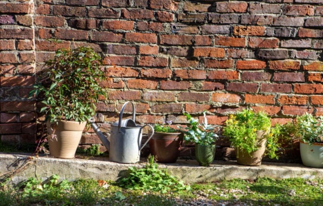 Bridport Garden Suite Dış mekan fotoğraf