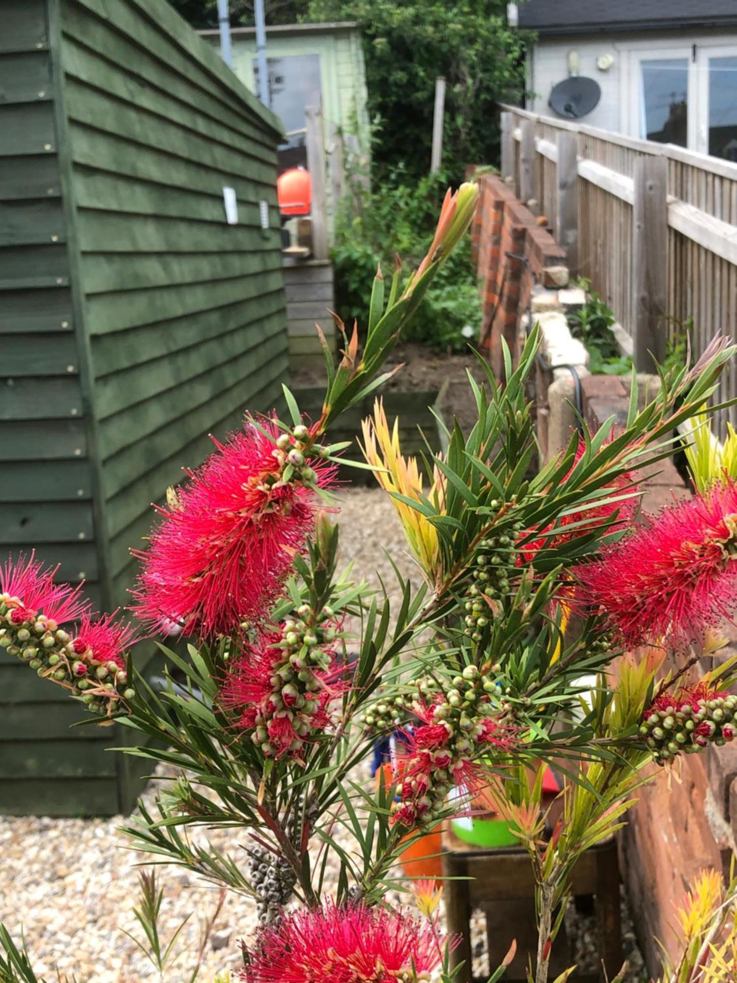 Bridport Garden Suite Dış mekan fotoğraf