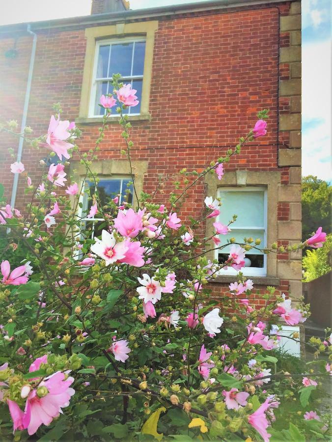 Bridport Garden Suite Dış mekan fotoğraf
